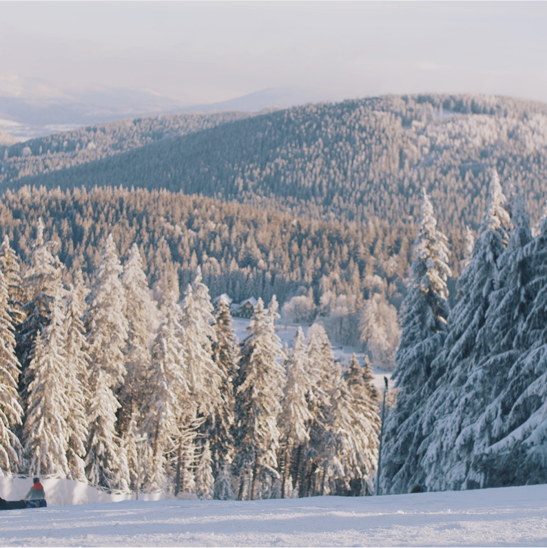 Alpha - Family Ski Bag